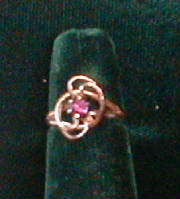 p1010009.jpg