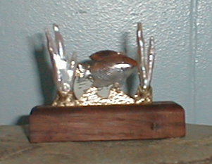 pa170002.jpg